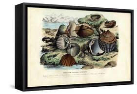 Mussels, 1863-79-Raimundo Petraroja-Framed Stretched Canvas