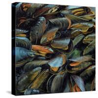 Mussels, 2014-Aris Kalaizis-Stretched Canvas