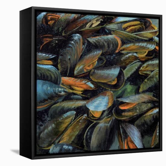 Mussels, 2014-Aris Kalaizis-Framed Stretched Canvas