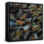 Mussels, 2014-Aris Kalaizis-Framed Stretched Canvas