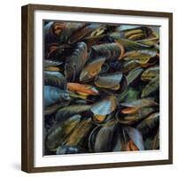 Mussels, 2014-Aris Kalaizis-Framed Giclee Print