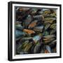 Mussels, 2014-Aris Kalaizis-Framed Giclee Print