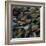 Mussels, 2014-Aris Kalaizis-Framed Giclee Print