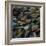 Mussels, 2014-Aris Kalaizis-Framed Giclee Print