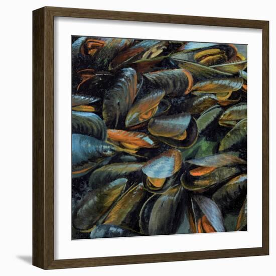 Mussels, 2014-Aris Kalaizis-Framed Giclee Print