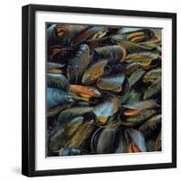 Mussels, 2014-Aris Kalaizis-Framed Giclee Print