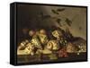 Mussels and Fruit Still-Life-Balthasar van der Ast-Framed Stretched Canvas