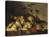 Mussels and Fruit Still-Life-Balthasar van der Ast-Stretched Canvas