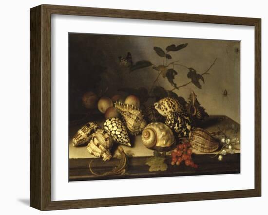 Mussels and Fruit Still-Life-Balthasar van der Ast-Framed Giclee Print