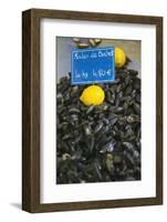 Mussels for Sale in Aix-En-Provence-Jon Hicks-Framed Photographic Print