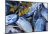 Mussels II-Kathy Mahan-Mounted Photographic Print