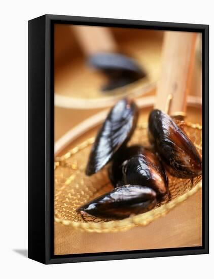 Mussels in a Basket-Louise Lister-Framed Stretched Canvas