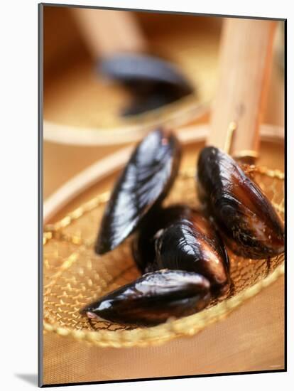 Mussels in a Basket-Louise Lister-Mounted Photographic Print