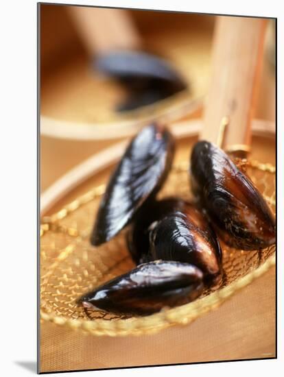 Mussels in a Basket-Louise Lister-Mounted Photographic Print