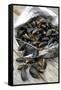 Mussels in Newspaper-Winfried Heinze-Framed Stretched Canvas