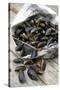 Mussels in Newspaper-Winfried Heinze-Stretched Canvas