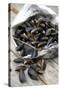 Mussels in Newspaper-Winfried Heinze-Stretched Canvas