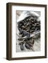 Mussels in Newspaper-Winfried Heinze-Framed Photographic Print