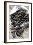 Mussels in Newspaper-Winfried Heinze-Framed Photographic Print