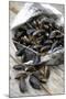 Mussels in Newspaper-Winfried Heinze-Mounted Photographic Print