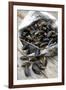 Mussels in Newspaper-Winfried Heinze-Framed Photographic Print