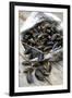 Mussels in Newspaper-Winfried Heinze-Framed Photographic Print