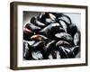 Mussels-Roger Stowell-Framed Photographic Print