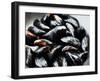 Mussels-Roger Stowell-Framed Photographic Print