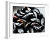 Mussels-Roger Stowell-Framed Photographic Print