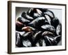 Mussels-Roger Stowell-Framed Photographic Print