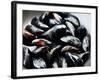 Mussels-Roger Stowell-Framed Photographic Print