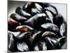 Mussels-Roger Stowell-Mounted Photographic Print