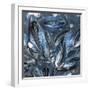 Mussels-Brenda Petrella Photography LLC-Framed Giclee Print