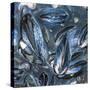 Mussels-Brenda Petrella Photography LLC-Stretched Canvas