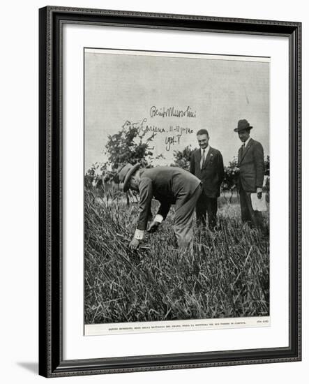 Mussolini, Fieldwork-null-Framed Photographic Print