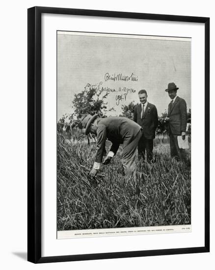 Mussolini, Fieldwork-null-Framed Photographic Print