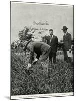 Mussolini, Fieldwork-null-Mounted Photographic Print