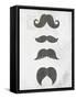 Mustache 2-Kimberly Allen-Framed Stretched Canvas