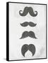 Mustache 2-Kimberly Allen-Framed Stretched Canvas