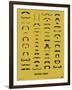 Mustache Library Poster-NaxArt-Framed Premium Giclee Print