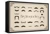 Mustaches Collection-Thomaspajot-Framed Stretched Canvas