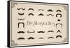 Mustaches Collection-Thomaspajot-Framed Stretched Canvas