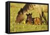 Mustang Êwild Horse Mare Grazes Near Her Resting-null-Framed Stretched Canvas
