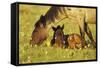 Mustang Êwild Horse Mare Grazes Near Her Resting-null-Framed Stretched Canvas