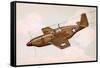 Mustang Fighter Plane-null-Framed Stretched Canvas