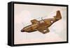 Mustang Fighter Plane-null-Framed Stretched Canvas