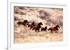 Mustang Horses Running, Wyoming-null-Framed Premium Giclee Print