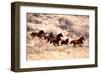 Mustang Horses Running, Wyoming-null-Framed Art Print