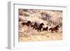 Mustang Horses Running, Wyoming-null-Framed Art Print