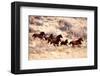 Mustang Horses Running, Wyoming-null-Framed Art Print